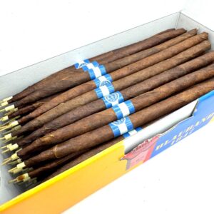 Brissago Blauband 1847 50er Kiste